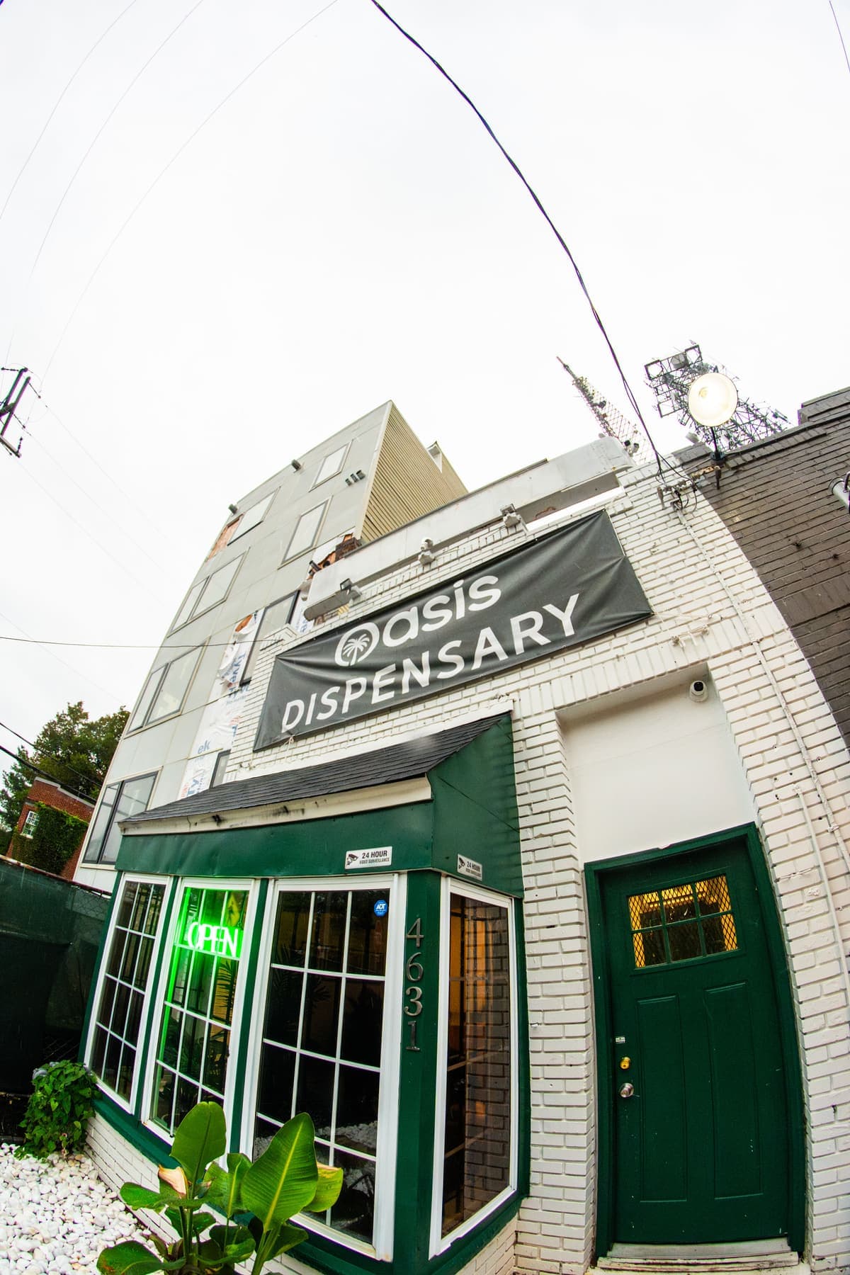 The Oasis storefront at 4631 41st Street NW: white brick, a green door and a glowing open sign